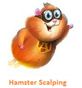 Hamster Scalping