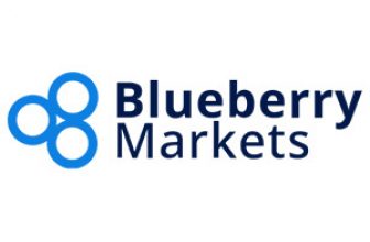 Blueberry Markets